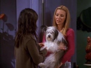 Friends Season 7 Episode 8