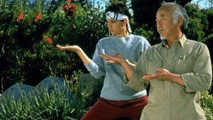 Karate Kid 1: El momento de la verdad