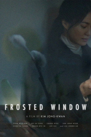 Frosted Window 9