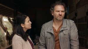 Tomorrow Is Ours: 1×708