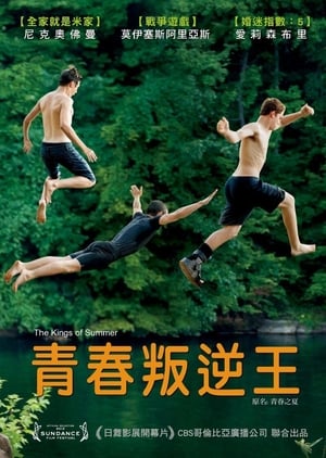 Poster 夏日之王 2013