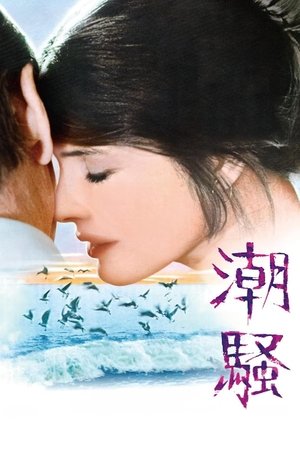 The Surf