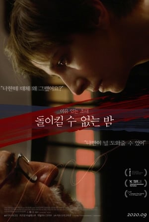 돌이킬 수 없는 밤 (2019)