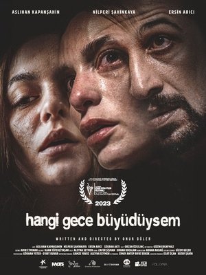 Hangi Gece Büyüdüysem