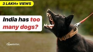 Why K****** Dogs is NOT the SOLUTION