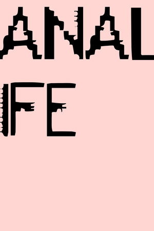 Analife 35