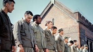 The Dirty Dozen 1967