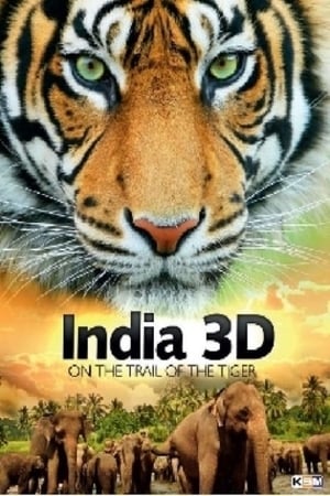 India On The Trail Of The Tiger 3D film complet