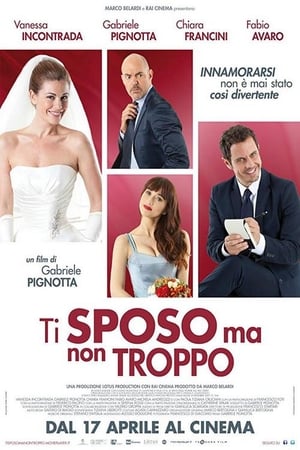 Poster Ti sposo ma non troppo (2014)