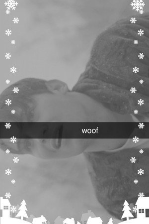 Woof 8