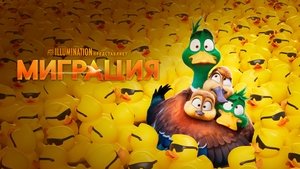 Images posters