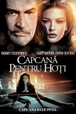 Capcană pentru hoți (1999)