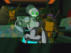 Image Turtles in Space (1): The Fugitoid
