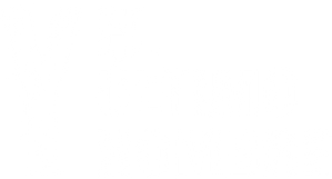 Y: El último hombre — Logos 8