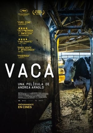 Poster Vaca 2022