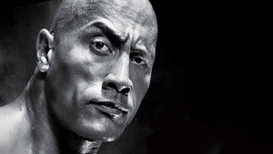 WWE Royal Rumble 2013