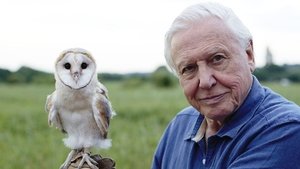 David Attenborough's Conquest of the Skies Triumph