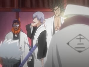 Bleach: 1×24