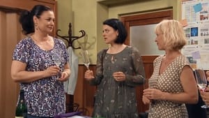 Slunečná: 1×141