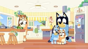 Bluey Season 3 Episode 35