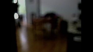 memory consolidation 02 (2025)