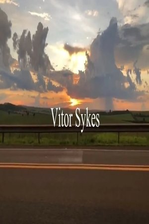 Por Que Os Sabiás Cantam À Noite?