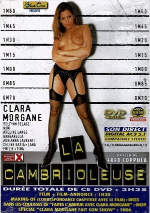 Poster La Cambrioleuse (2002)