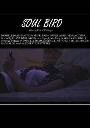 Poster Soul Bird (2014)