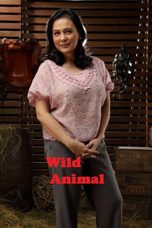 Wild Animals 3