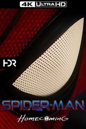poster Spider-Man: Homecoming