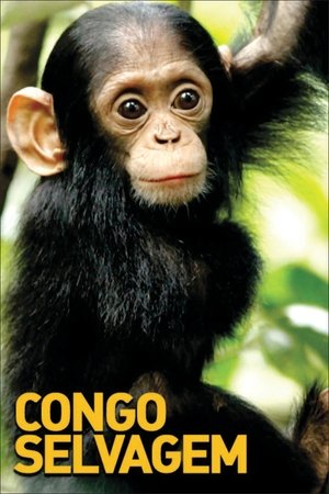 Congo Selvagem Congo Selvagem