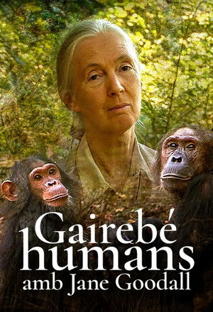 Póster de Almost Human with Jane Goodall