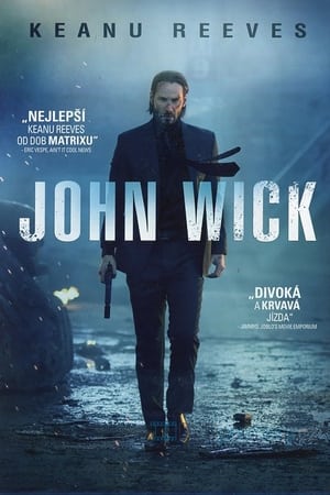 Poster John Wick 2014