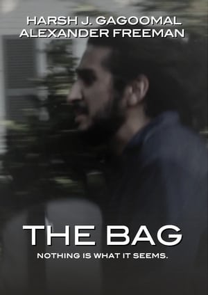 Poster The Bag 2015