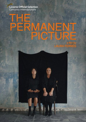 The Permanent Picture 6