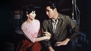 Wild in the Country (1961)