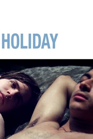 Poster Holiday (2014)