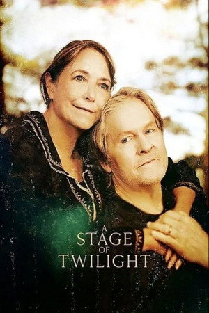 A Stage of Twilight