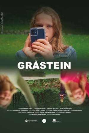 Poster Gråstein 2021