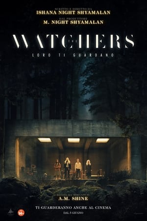 Poster The Watchers - Loro ti guardano 2024