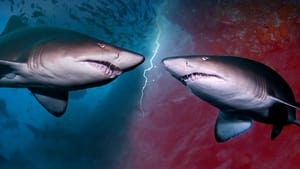 Requins Cannibales