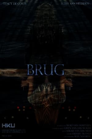 Poster Brug 2024