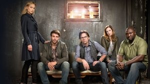 Zoo TV Series | Where to watch?