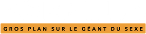 Pornhub : Gros plan sur le géant du sexe