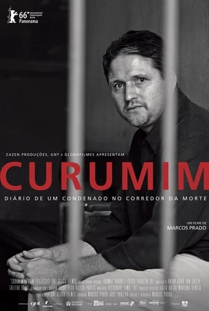 Poster Curumim (2016)