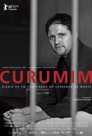 Poster Curumim 2016