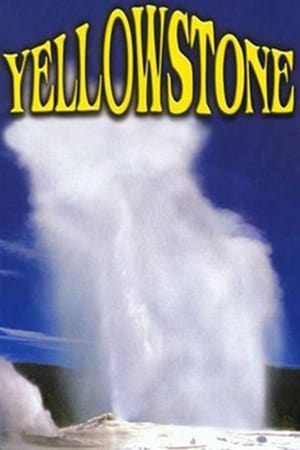 Yellowstone poster