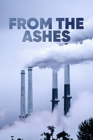 Poster From the Ashes (2017)