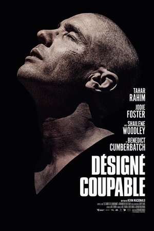 Désigné coupable Désigné coupable