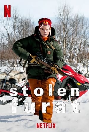 Poster Stöld 2024